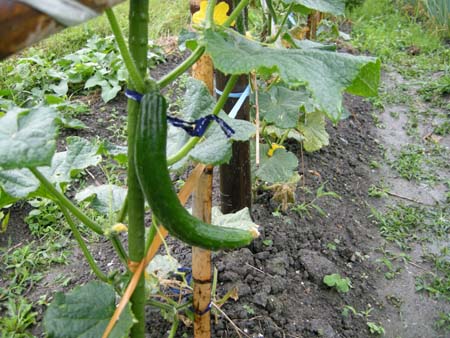 2009062207.jpg