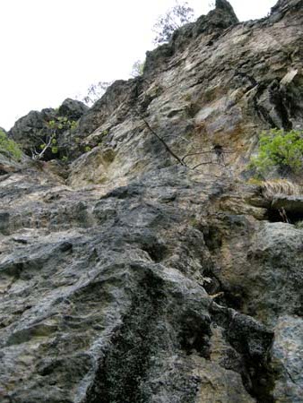 2009062903.jpg