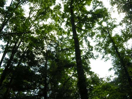 2009080728.jpg