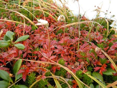 2009092426.jpg