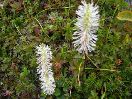2009093024.jpg