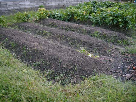 2009101302.jpg