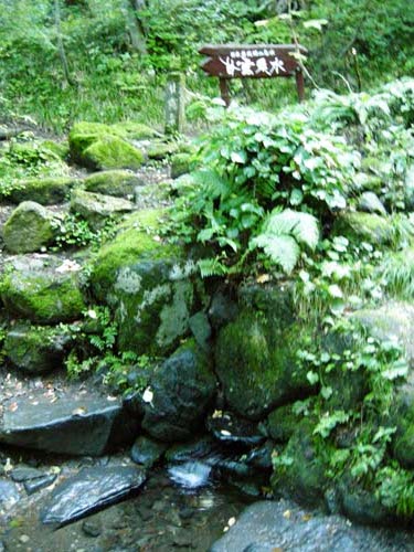 2009101915.jpg