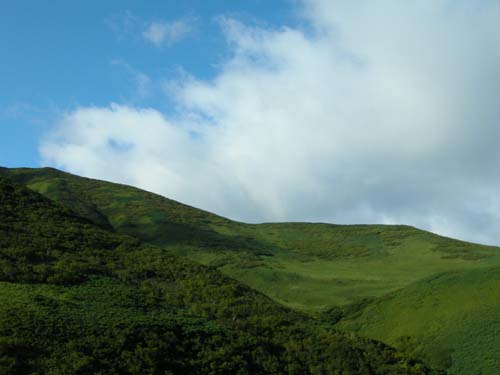 2009101918.jpg