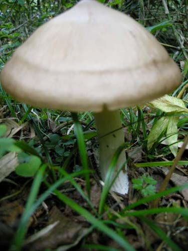 2009102224.jpg