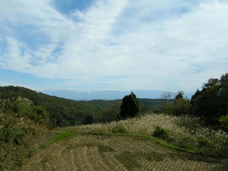 2009110501.jpg
