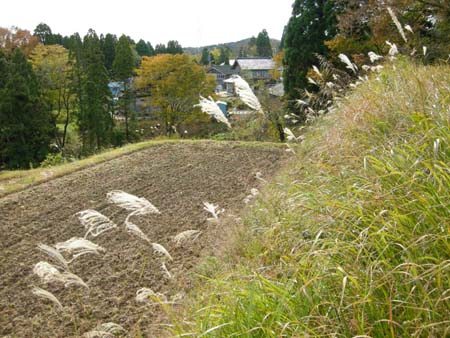 2009110502.jpg