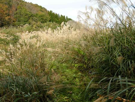 2009110506.jpg