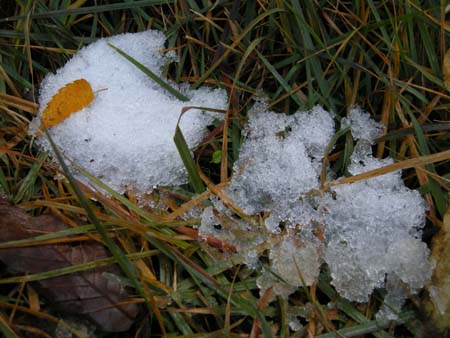 2009110508.jpg