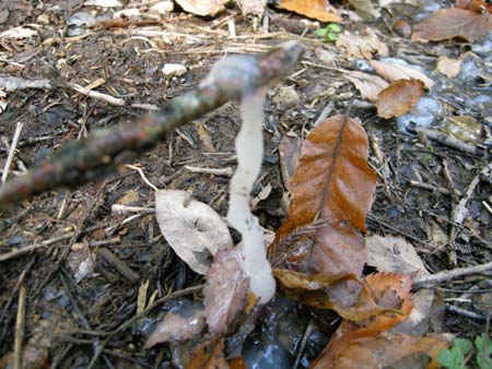2009110509.jpg