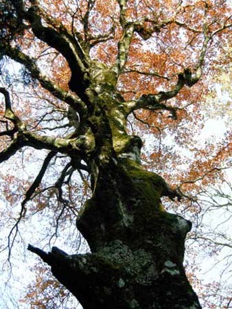 2009110904.jpg