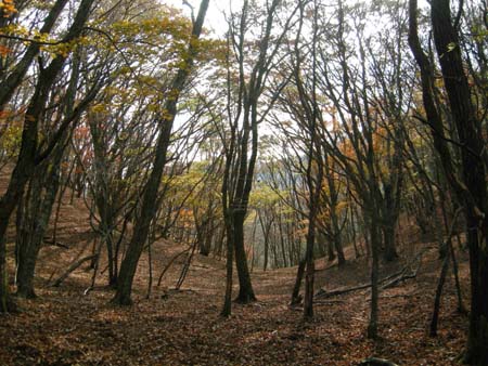 2009110925.jpg