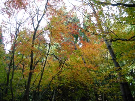 2009112218.jpg