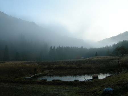 2009120103.jpg