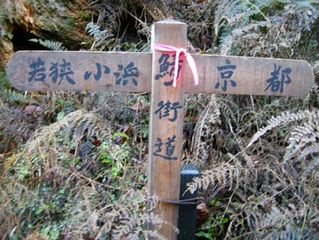 2009120104.jpg