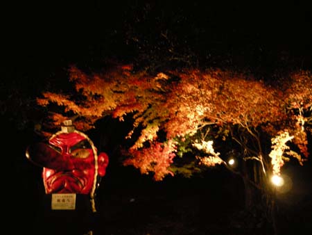 2009120114.jpg