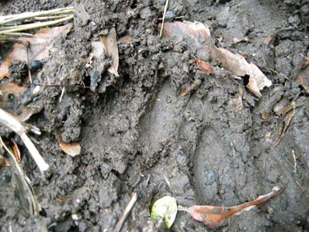 2009121033.jpg