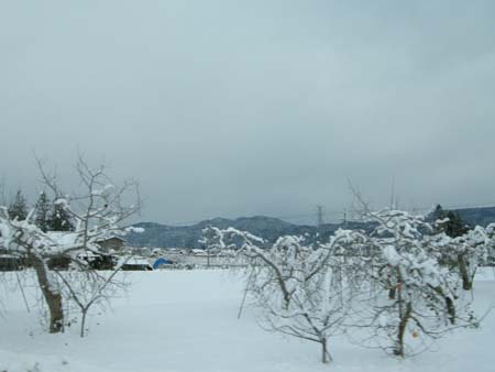 2009122407.jpg