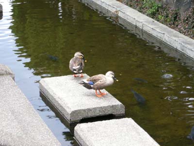 20094804.jpg