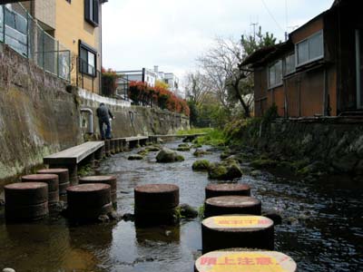20094810.jpg