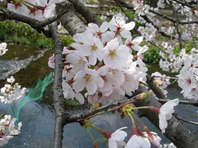 20094816.jpg