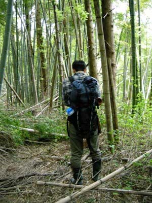 200950608.jpg