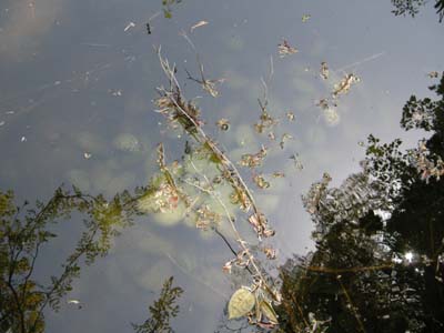 200950611.jpg