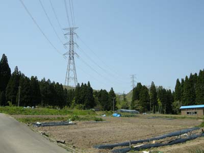 200950614.jpg