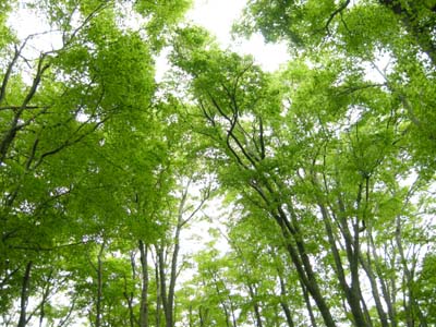 200950635.jpg
