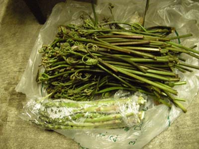 200950637.jpg