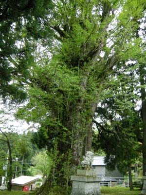200950640.jpg