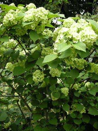 200950641.jpg