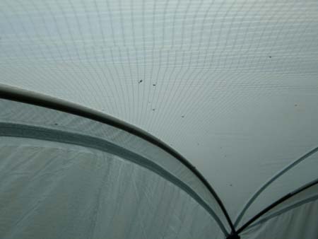 200952906.jpg