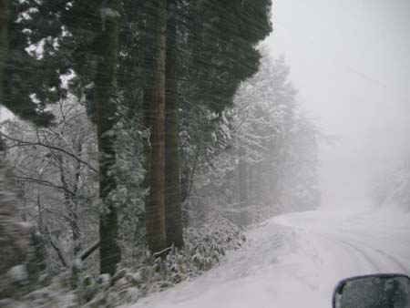 2010010713.jpg