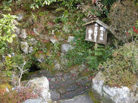 2010010810.jpg