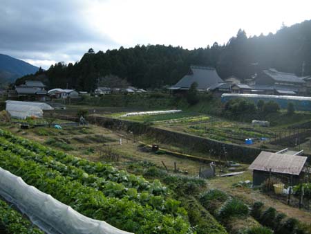 2010010812.jpg