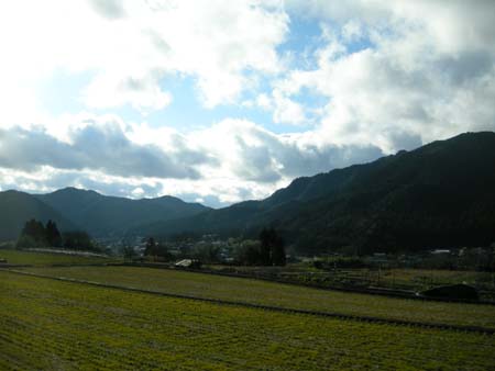 2010010813.jpg