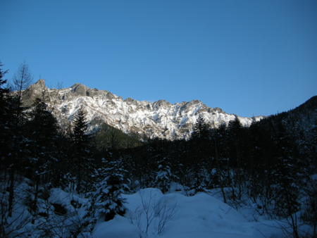 2010011509.jpg