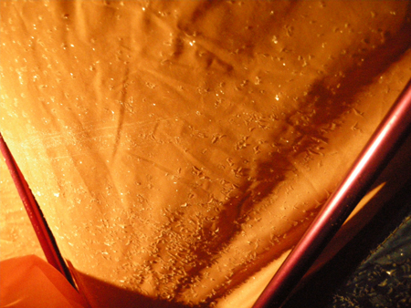 2010011603.jpg