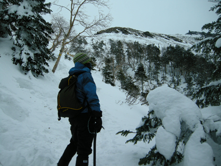 2010011606.jpg