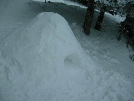 2010012102.jpg