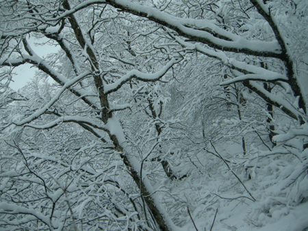 2010022012.jpg