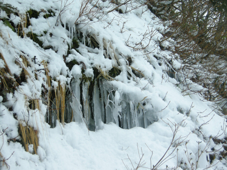 2010022016.jpg