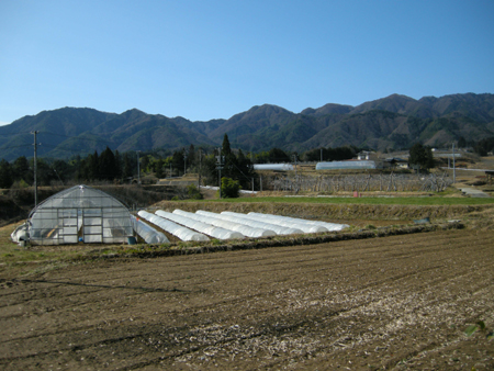 2010030509.jpg