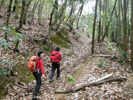2010031707.jpg