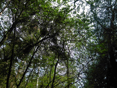 2010031710.jpg