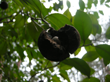 2010031712.jpg