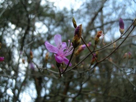2010031713.jpg