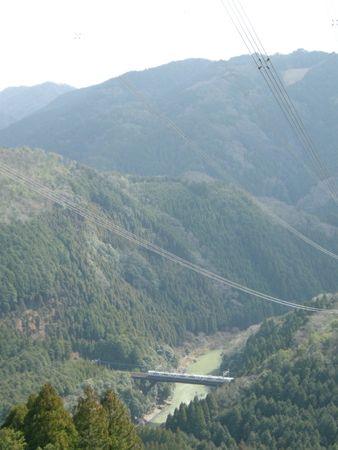 2010031714.jpg