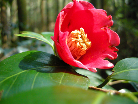 2010031715.jpg